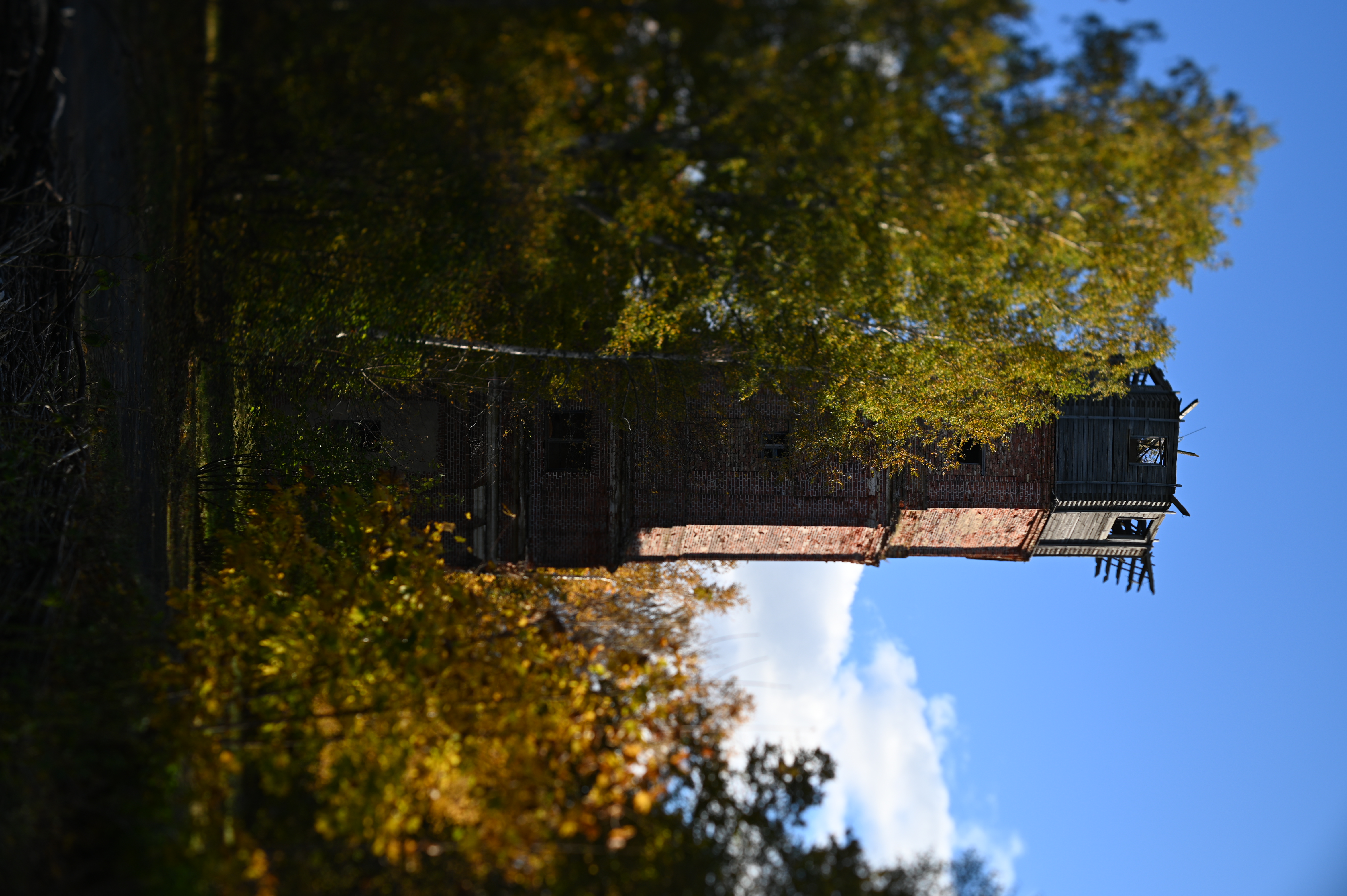 2025/10/18 - walk/DSC_0078.JPG